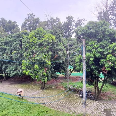 Nature View Homestay デヘラードゥーン エクステリア 写真
